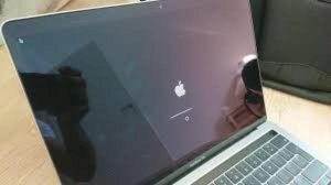 Mở đầu: Hiện tượng MacBook bị treo táo là gì và tại sao cần khắc phục sớm?