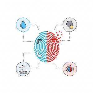 Tại sao vân tay iPhone lúc được lúc không? Nhận biết các nguyên nhân hàng đầu